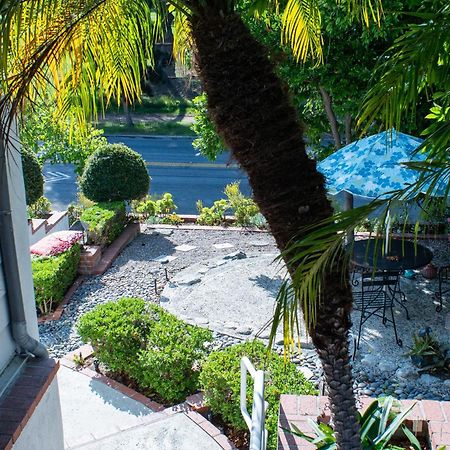 Large Luxury Studio With View In Santa Monica Buitenkant foto