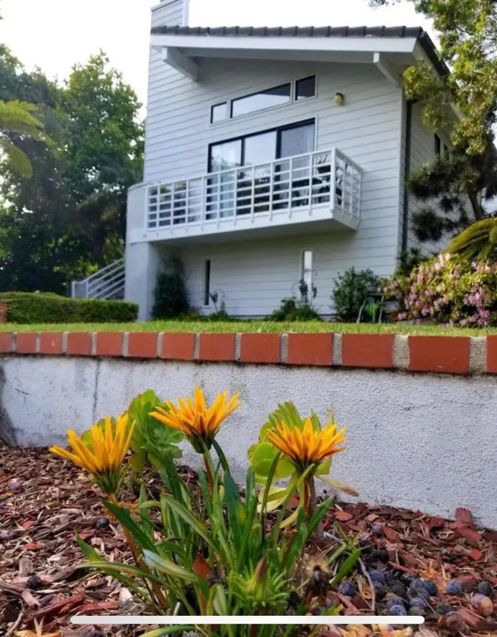 Large Luxury Studio With View In Santa Monica Buitenkant foto
